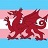Logo of North Wales Trans Nonbinary and Intersex Network